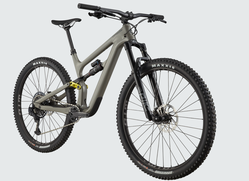 2021 Cannondale Habit Carbon 1 Mountain Bike in Grey-1